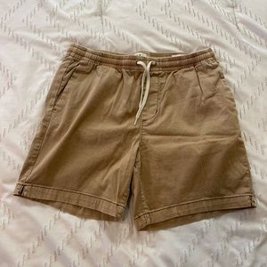 Pacsun Volley Man Shorts